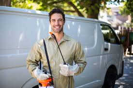 Best Bee and Wasp Removal  in Millersburg, OR